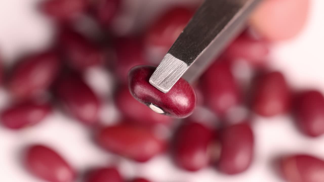 Close-up of tweezers holding a red kidney bean against a blurred background of similar beans. Macro photography highlights texture