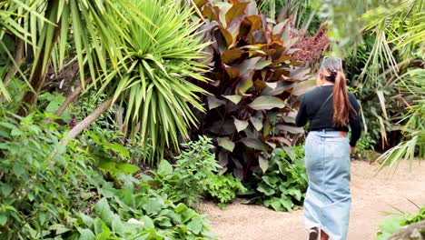 people walking through lush garden path