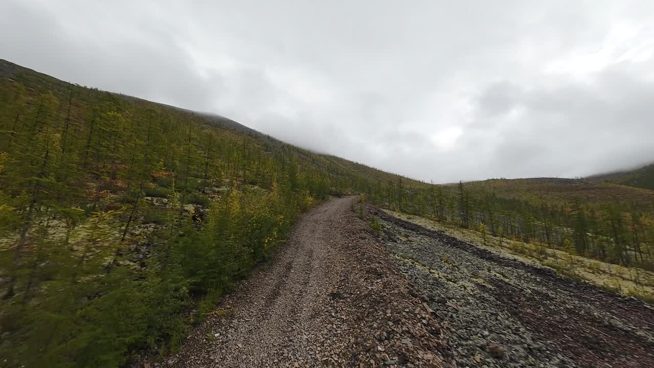 Experience the tranquil beauty of Yakutia as a drone glides over winding paths through dense forests, capturing the essence of autumn's gentle embrace in the misty air