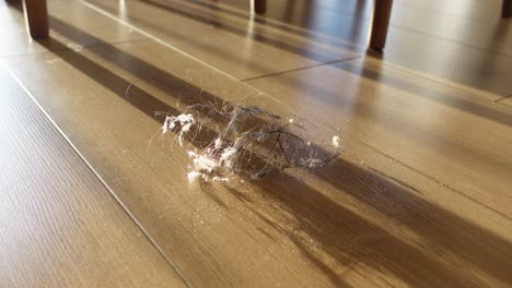 un cúmulo de cabello y polvo en un piso de madera