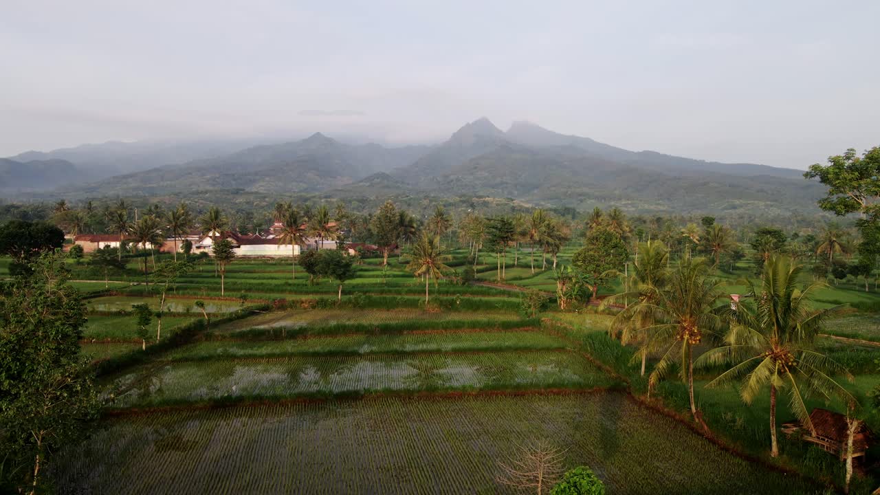 vista del campo de arroz del pueblo en la base del monte argopuro