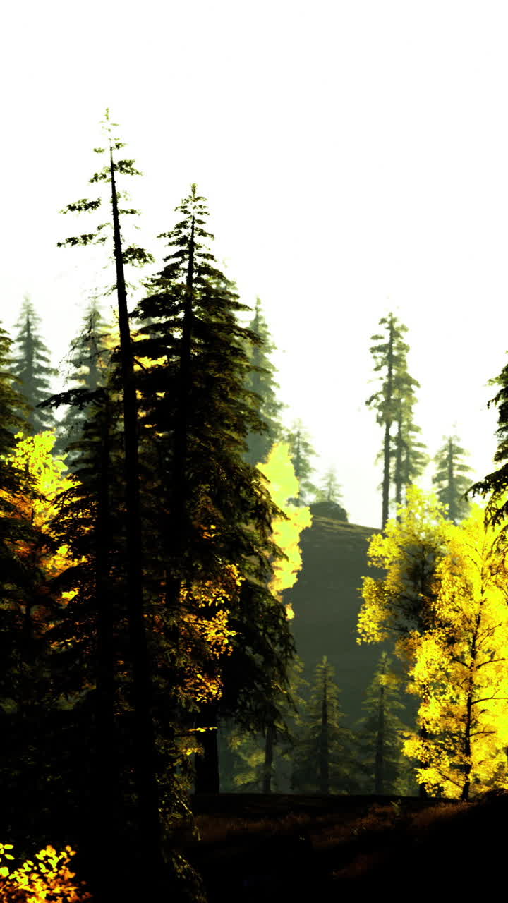 Forest landscape with golden foliage and tall trees in serene light