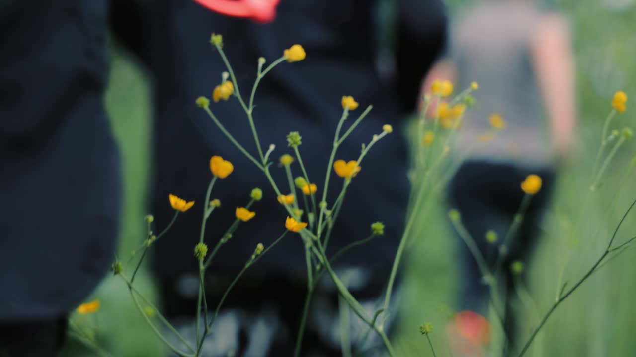 공원과 덤불을 가로질러 달리는 아이들, 달리는 동안 식물에 손을 는 운동선수들
