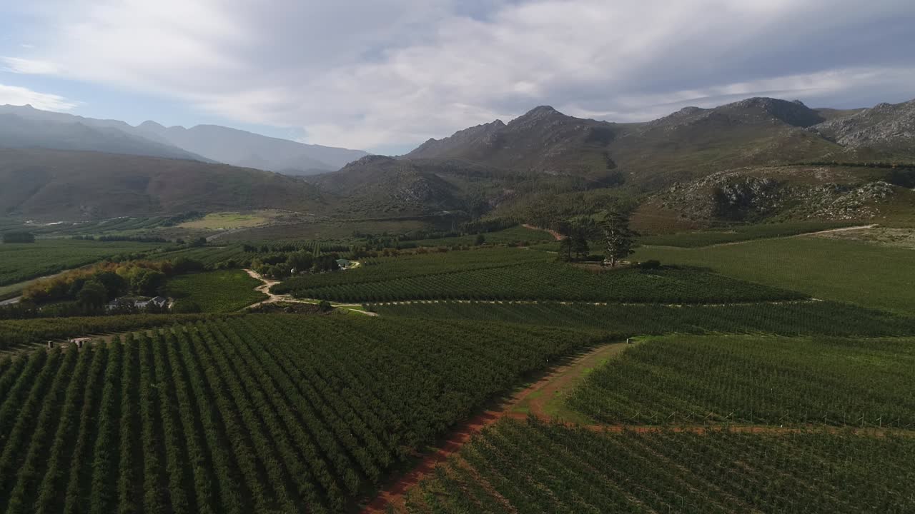 vistas aéreas de los huertos en el valle de elgin, cerca de la ciudad de grabouw en el cabo occidental de sudáfrica.