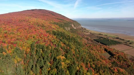 Los-Bosques-De-Quebec-Se-Vuelven-Rojos-Y-Amarillos-Durante-El-Otoño