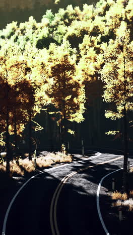 autumn road through the forest