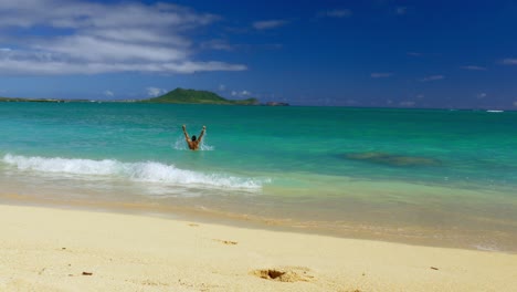 escena de playa tropical con una persona nadando