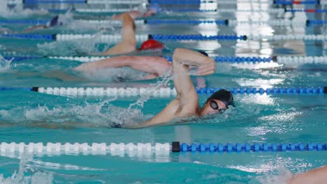 Swimmers-swimming-on-the-pool