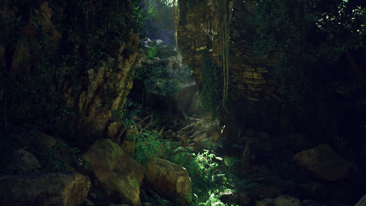Explore lush green forest with sunlight filtering through rocky archway