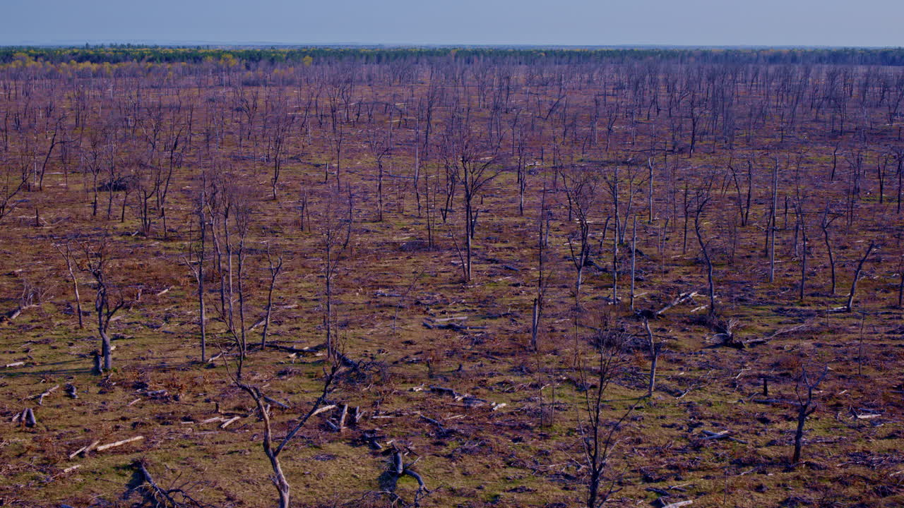 드론에 의해 찍힌 광대한 산불 후유증의 공중 영상입니다.