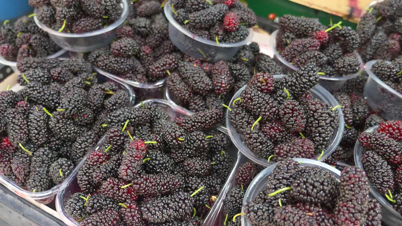 Gelsi freschi in contenitori di plastica