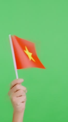 hand waving a pennant of a vietnamese national flag