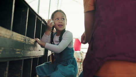 child farmer, chicken egg in hen house