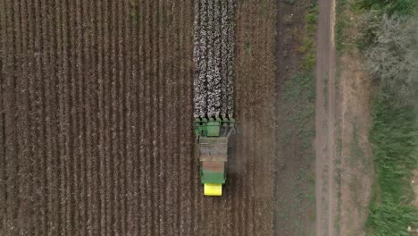 Recolector-De-Algodón-Cosechando-Un-Campo,-Vista-Aérea-De-Arriba-Hacia-Abajo