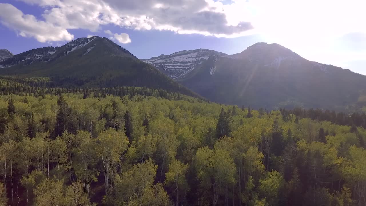 un avión no tripulado vuela sobre los golden aspen de american fork canyon en la parte trasera del monte timpanogos en el otoño en utah