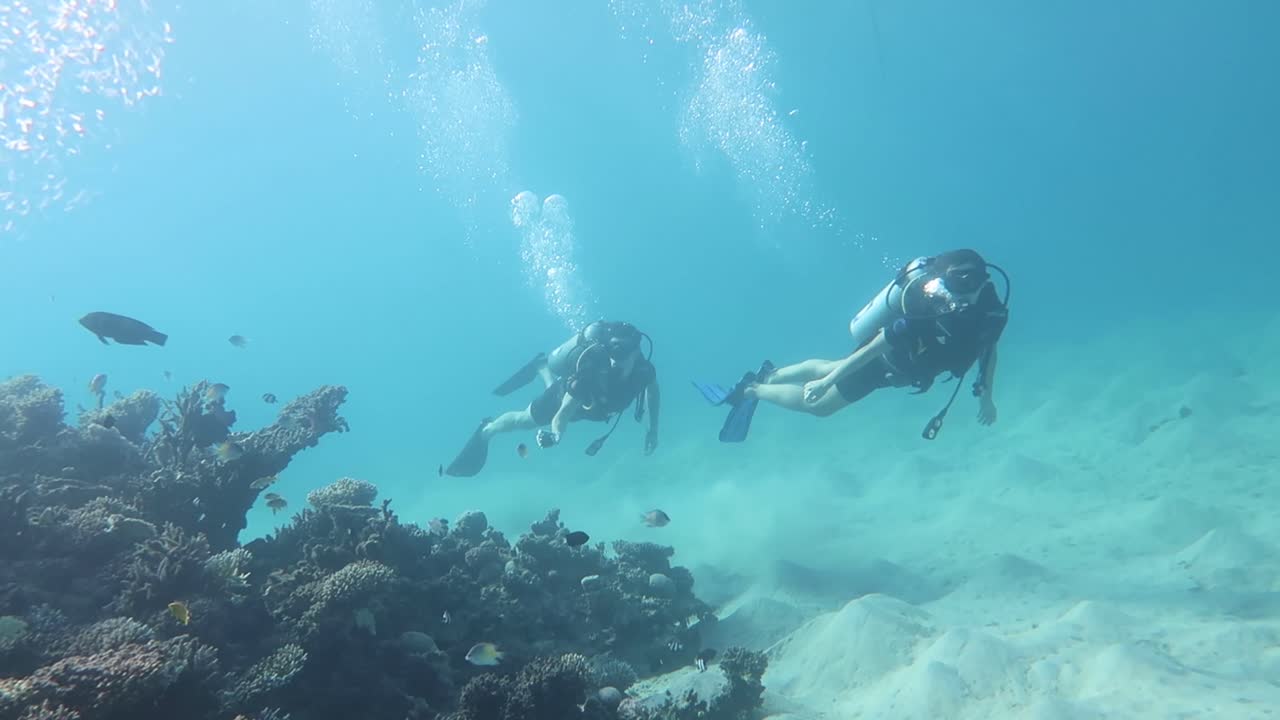 fotografía en cámara lenta de buzos explorando el arrecife de coral en el mar rojo