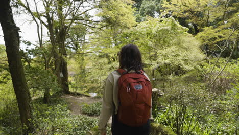 slow motion tracking shot of a female hiker walking across a small bridge in a forest