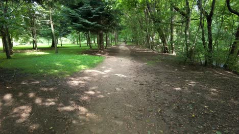Nature-dusty-path-leading-through-the-green-forest-on-a-sunny-day-in-summer