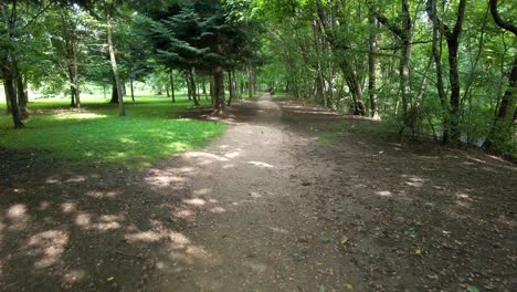 nature dusty path leading through the green forest on a sunny day in summer