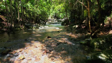 Forest-With-Water-Stream-Flowing-Over-The-Rocks,-Currumbin-Valley,-Gold-Coast,-QLD,-Australia---Drone-Shot