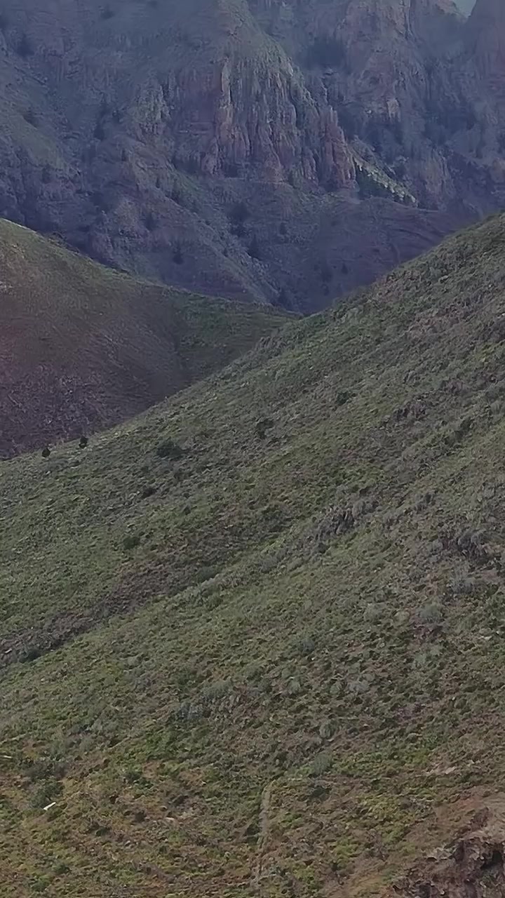 Montagne e colline a Tenerife, Spagna, con sentieri tortuosi e campi verdi