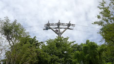 Seilbahn-Seilbahn-Teleferico-Sentosa-Island-Singapur-Zwischen-Bäumen-Maststation
