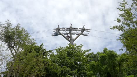 cableway rope line teleferico sentosa island singapore between trees pole station