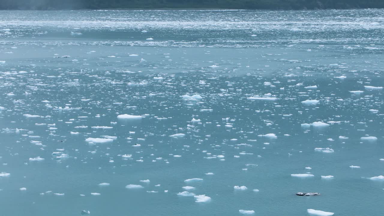 떠다니는 얼음.