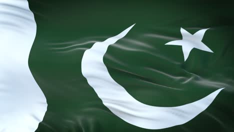 pakistan flag waving in the wind with highly detailed fabric texture. seamless loop