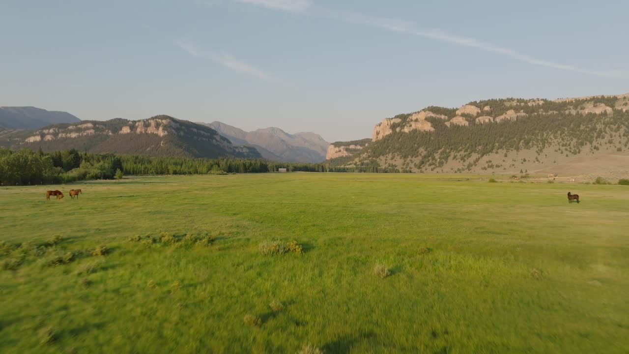A wide, green meadow with distant rocky mountains under a clear blue sky in Sunlight Basin, Wyoming
