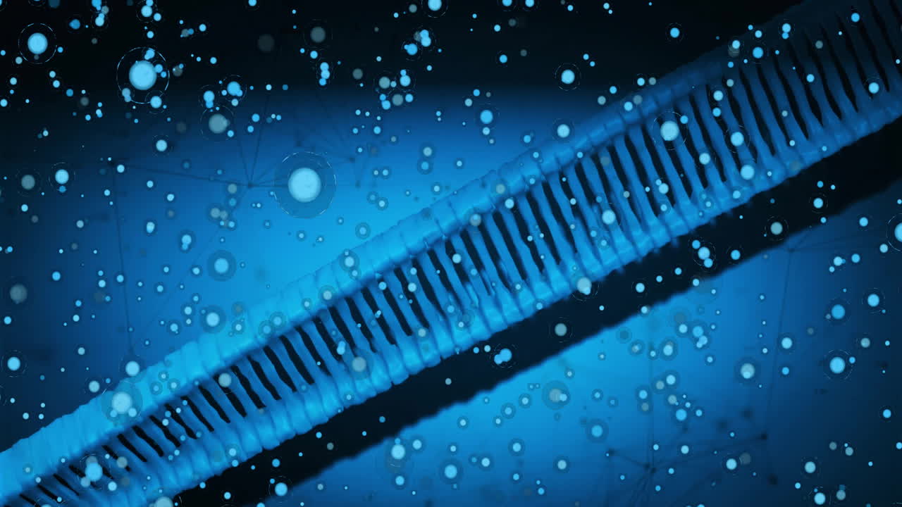 dna 가닥을 가로지르는 연결 네트워크의 애니메이션