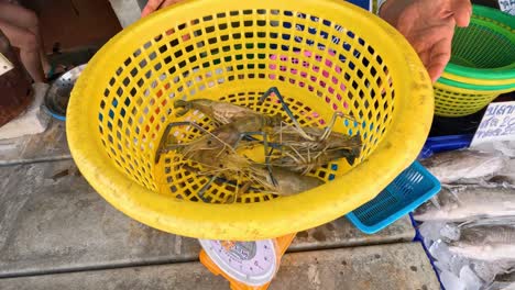 fisherman sorts fish in a yellow basket