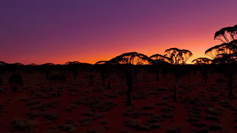 silhouette of trees at sunrise/sunset over red dirt plains