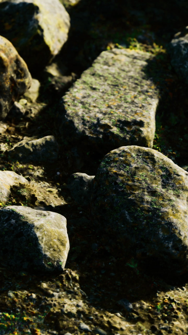 Rocks and stones on a path in a natural outdoor setting during daylight