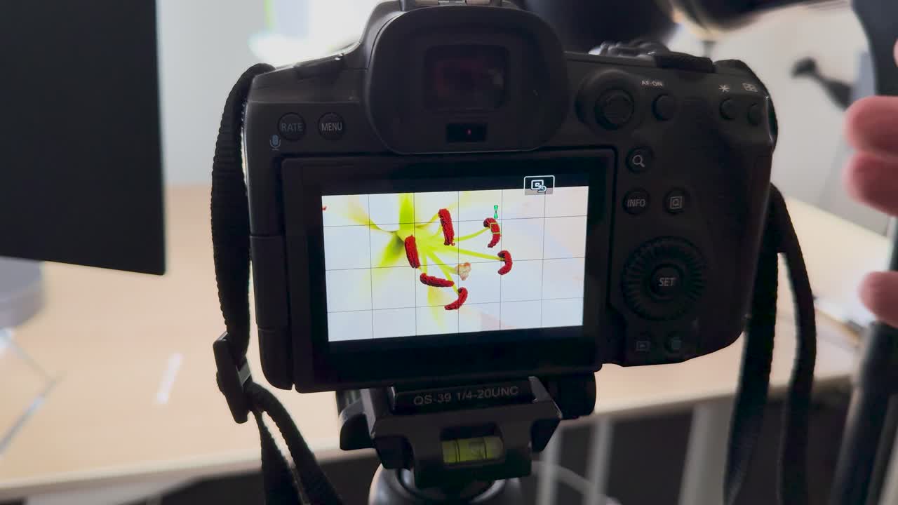 A photographer adjusts camera settings for macro shots of a flower in a studio environment with controlled lighting