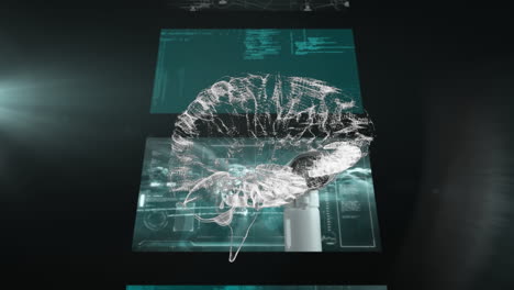 animation of human brain spinning over screens with scientific data processing