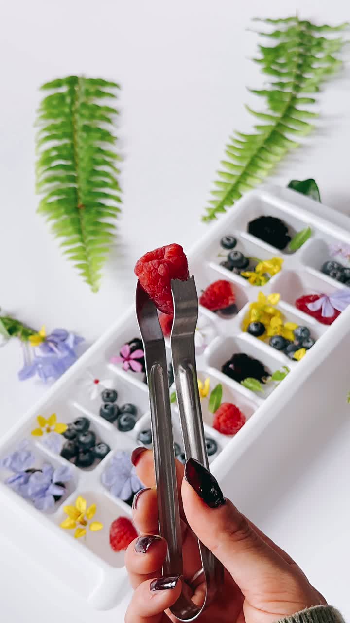 hermosos cubos de hielo de frutas y flores