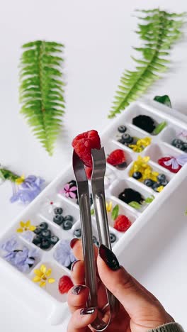 beautiful fruit and flower ice cubes