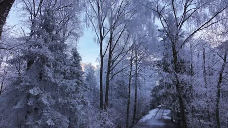 breathtaking winter wonderland view with snow-covered road surrounded by frost-laden trees near walensee, switzerland.