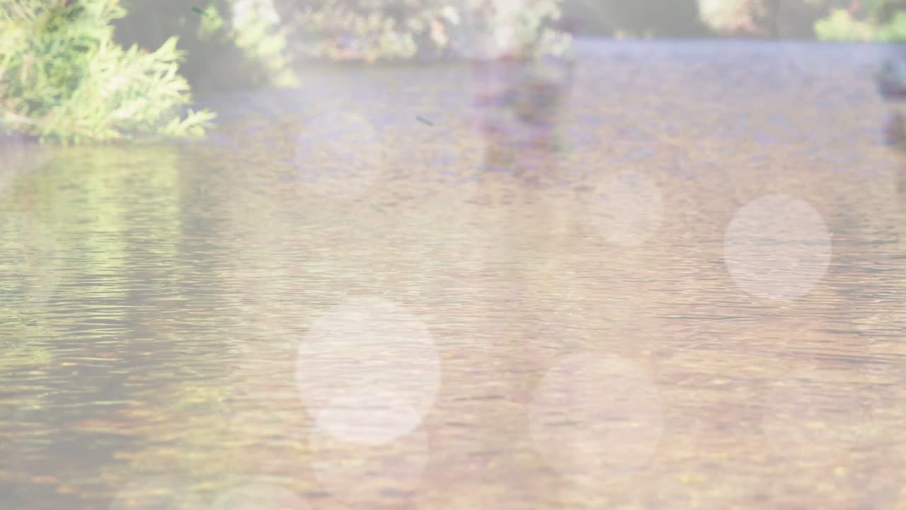 Diagonal wipe starting reveal, bokeh fading down, water ripples focusing to show bank reflections