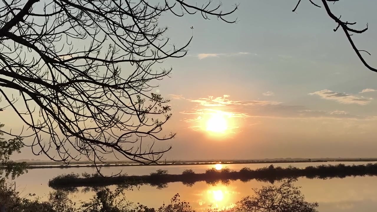 Matahari Terbenam Keemasan di Atas Danau Tenang dengan Ranting Pohon Siluet