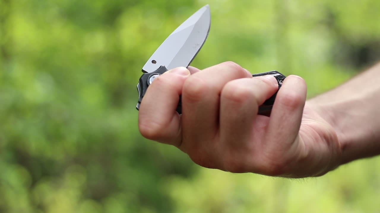 cuchillo en el bosque natural