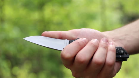 knife in natural forest