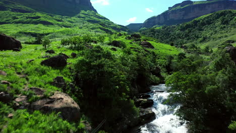 la belleza de la naturaleza fluye sin fin.