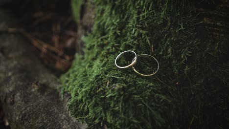 Detail-shot-of-two-shiny-wedding-rings-on-green-moss-in-the-forest,-closeup-shot-of-golden-wedding-bands