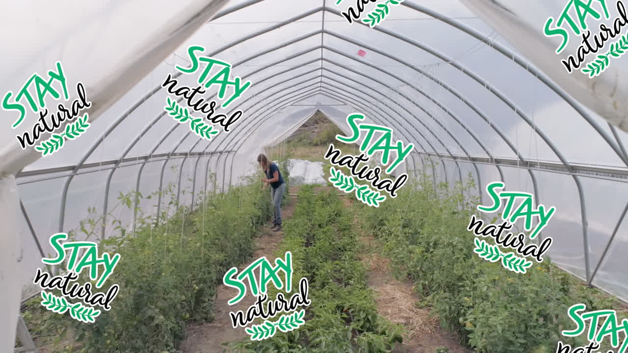 코카시안 여성 정원 가꾸기에서 자연 텍스트를 유지하는 애니메이션