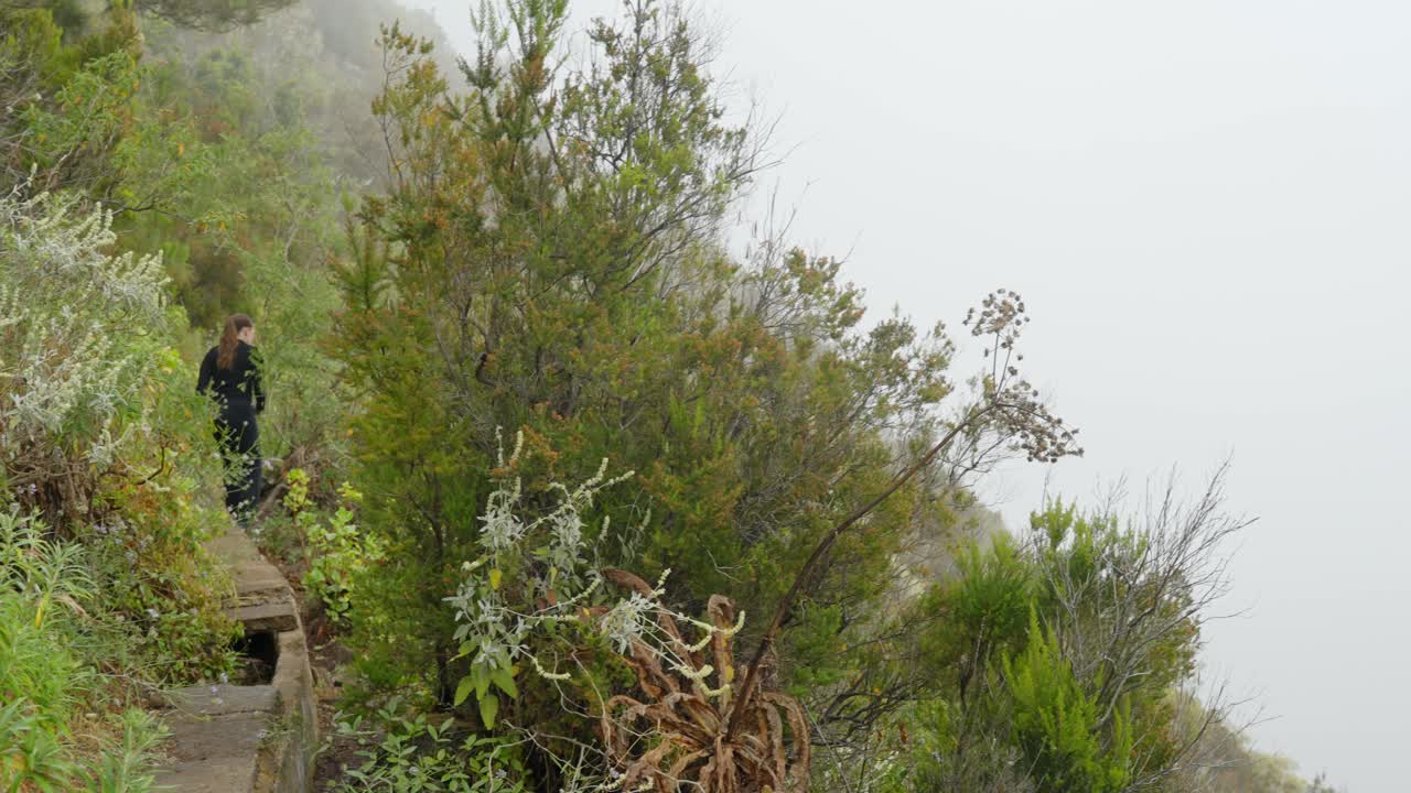 여성 관광객이 덤불을 가로질러 페이그로  ⁇ 인 계곡을  ⁇ 고 있습니다.