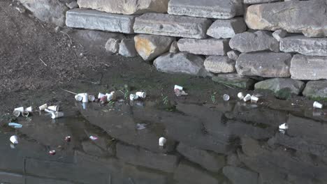 polystyrene cup floats in polluted water with plastic bottles, cans and waste