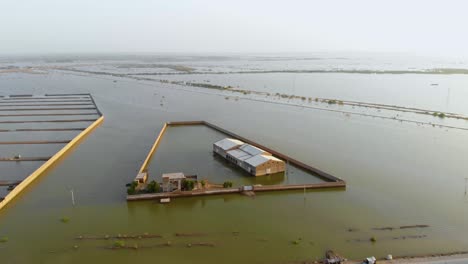 Toma-Aérea-De-Casas-Y-Terrenos-Sumergidos-En-El-Agua-De-La-Inundación-En-Sindh-Pakistán