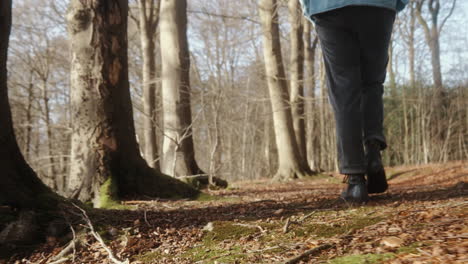 young man walking on the forest floor next to trees